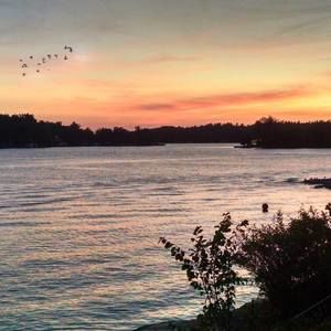 Meet your Posher, Carol